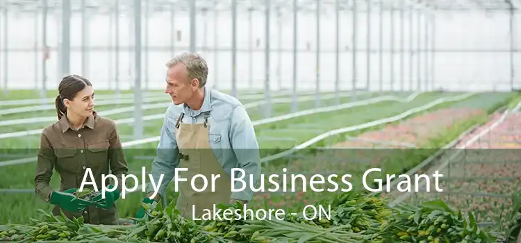 Apply For Business Grant Lakeshore - ON